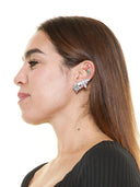 R2619 SET_2